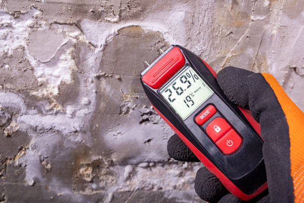 Best Crawl Space Mold Remediation in Spring Park, MN